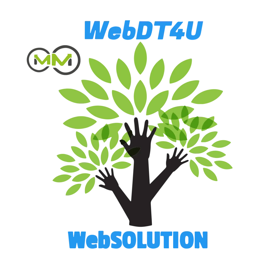 WebDT4U Agencia Digital WebDT4U Marketing Digital WebDT4U Disenyo Web